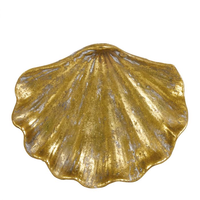 Coupelle coquillage – Image 3