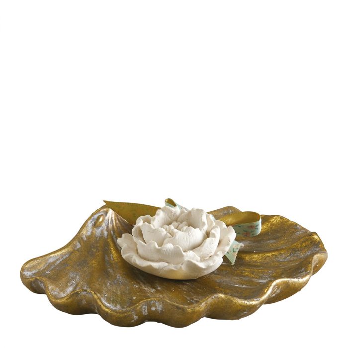 Coupelle coquillage – Image 2