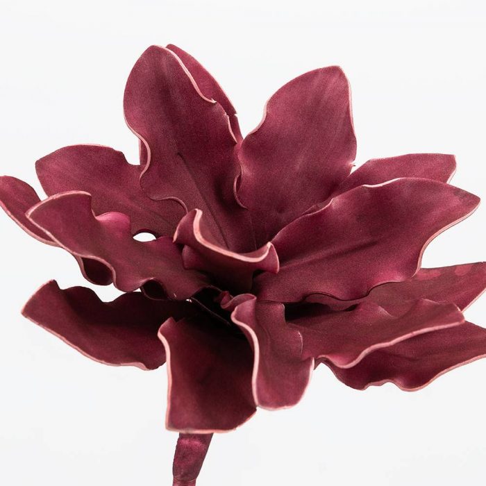 Fleur Cumbia bordeaux