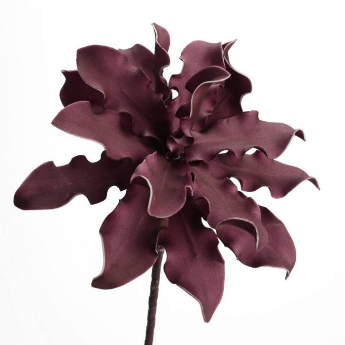 Fleur Cumbia violette