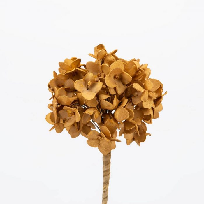 Fleur Hortensia doré