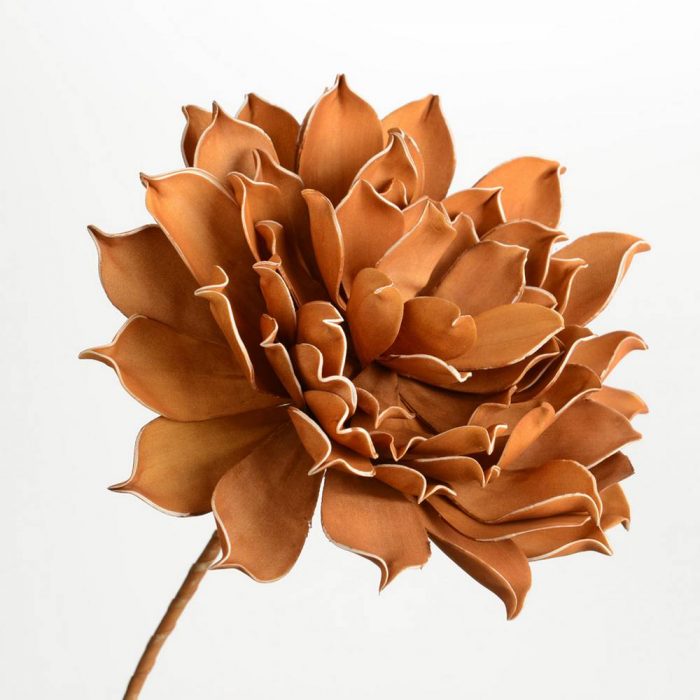 Fleur Jada noisette