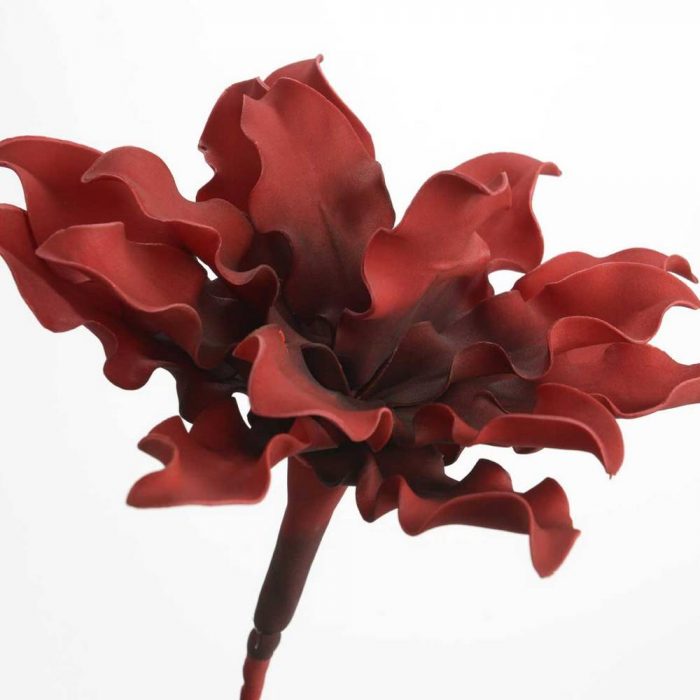Fleur Cumbia rouge