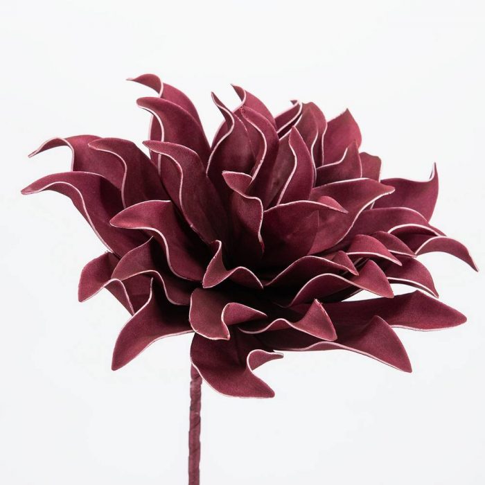 Fleur Villa bordeaux