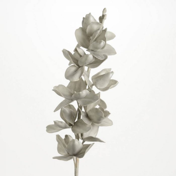Fleur orchidée gris perle