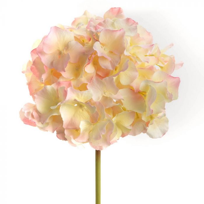 Hortensia Altona H48 cm