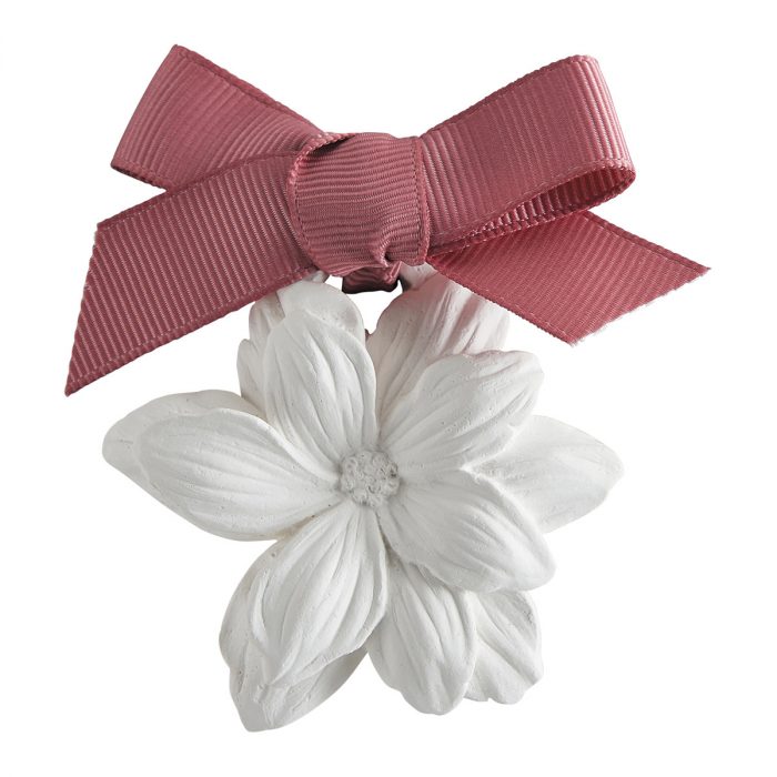 Coffret de 5 plâtres parfumés - Sublime Jasmin – Image 3