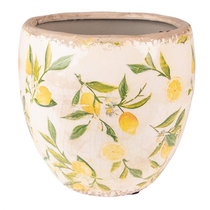 Pot d'intérieur avec des citrons