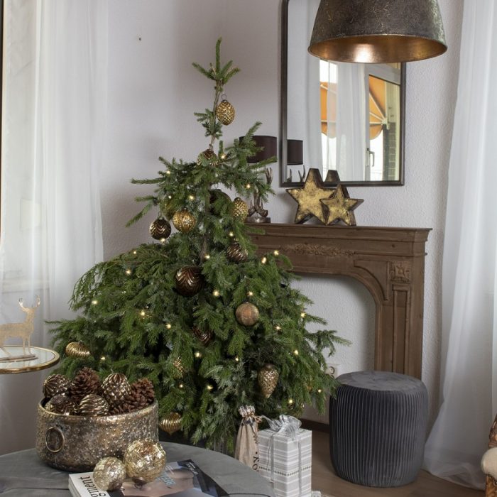 Support pour plantes – Image 4