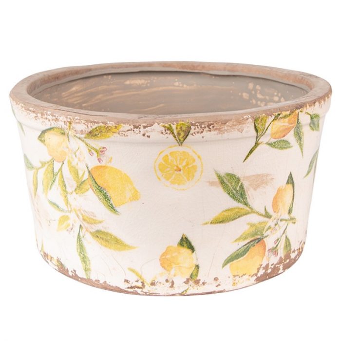 Pot d'intérieur citrons