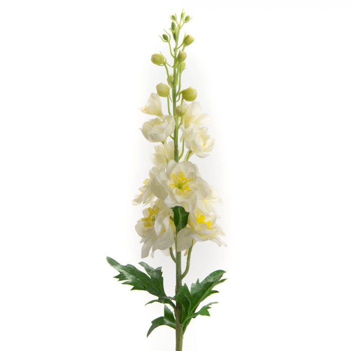 Delphinium Réality