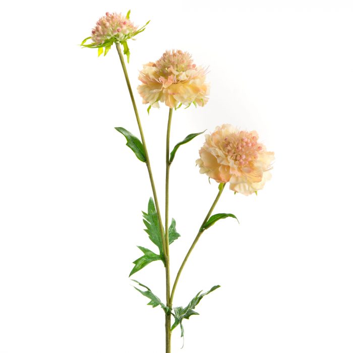 Fleur artificielle Scabieuse Mariposa