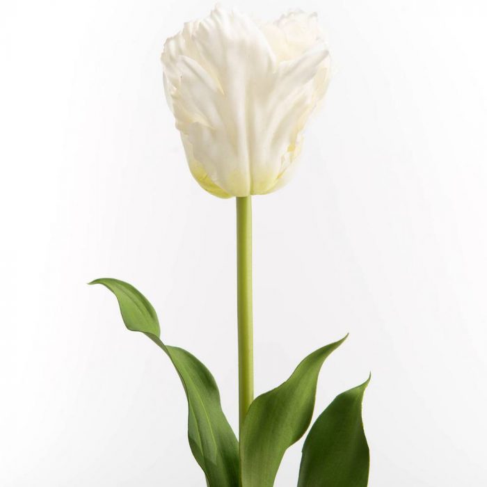 Tulipe Perroquet blanche artificielle
