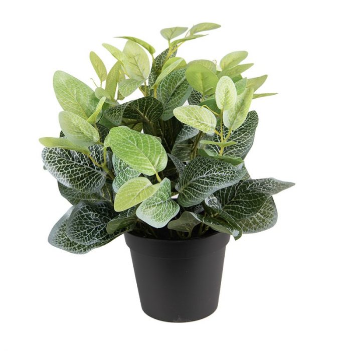 Plante verte artificielle