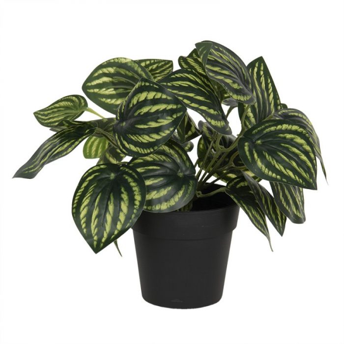 Plante artificielle