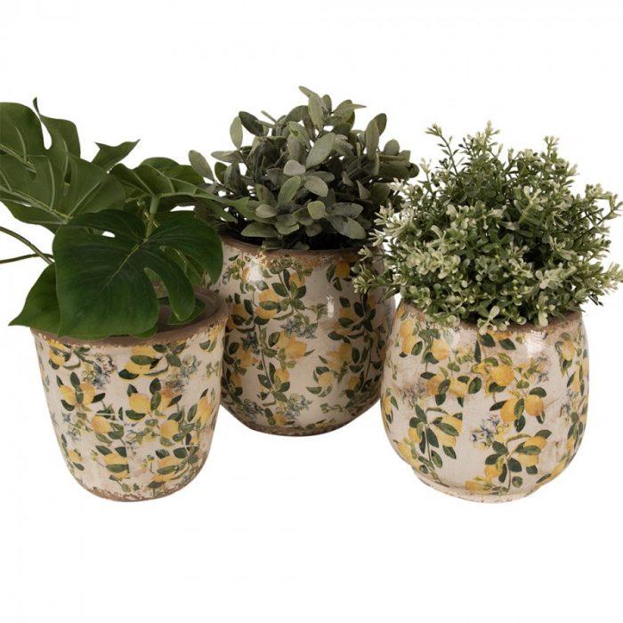 Pot de fleurs citrons – Image 3