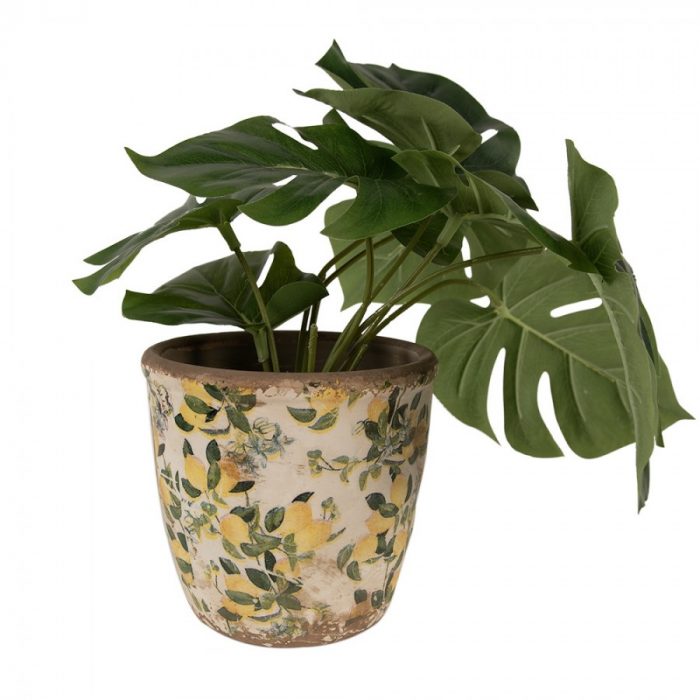 Pot de fleurs citrons – Image 2