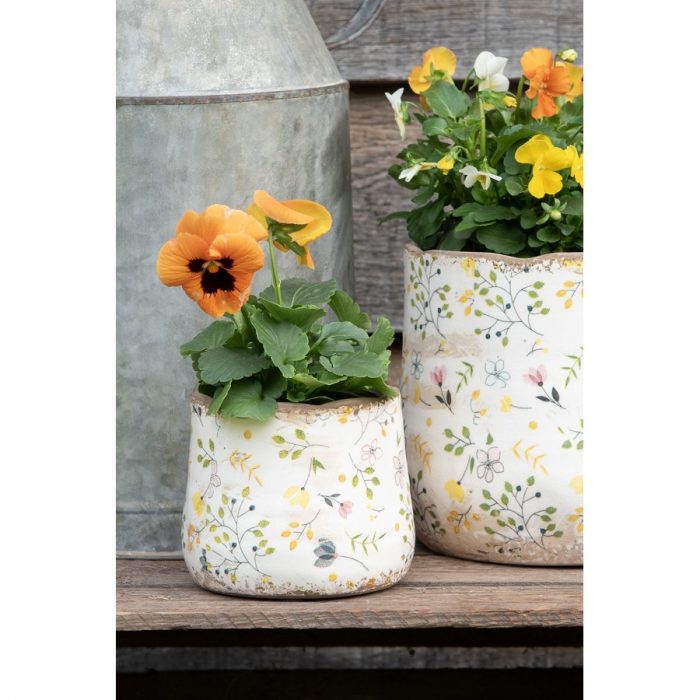 Pot de fleurs multi-couleurs – Image 5