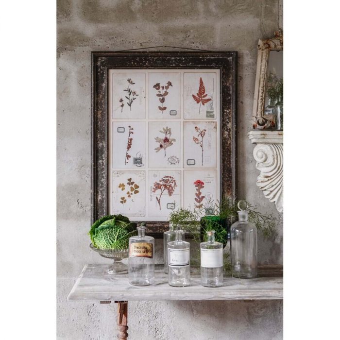 Tableau herbier métal – Image 2