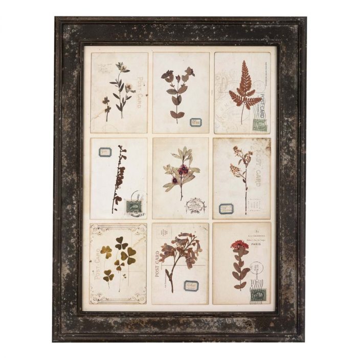 Tableau herbier métal