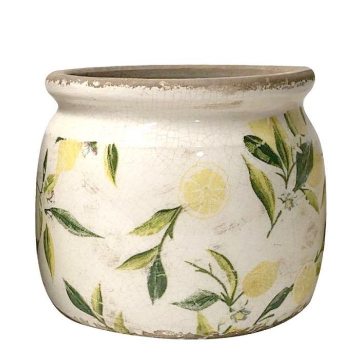 Pot de fleurs rondelle de citron