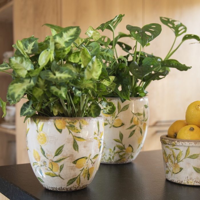 Pot de fleurs citron jaune – Image 3