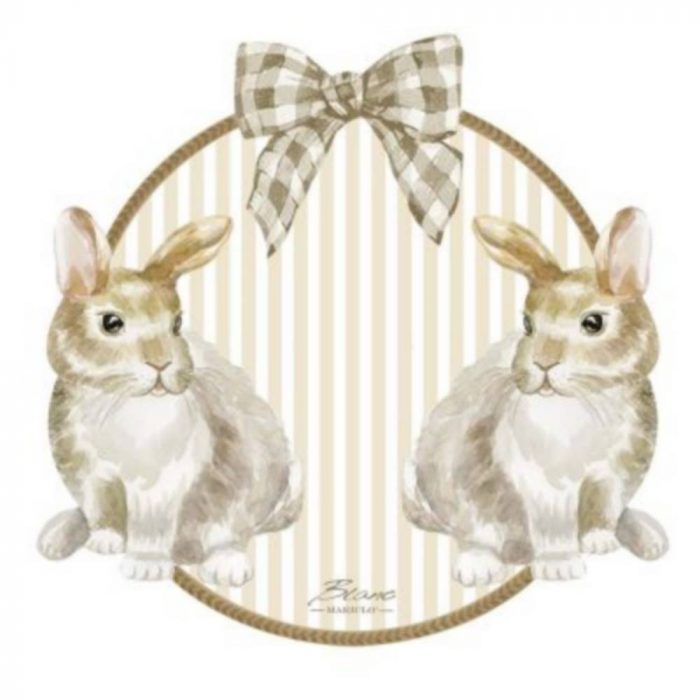 Set de table lapins