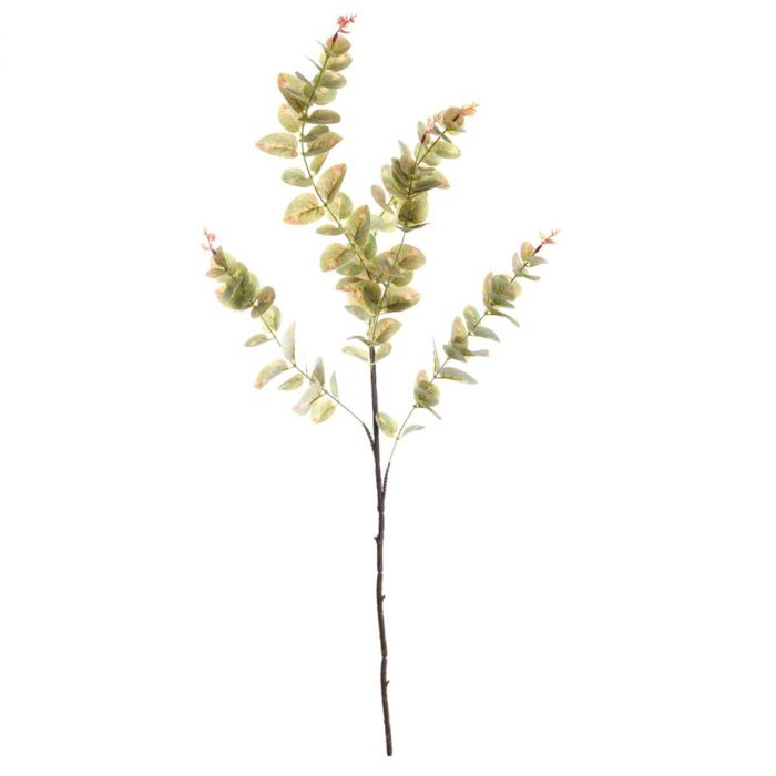 Eucalyptus articifiel