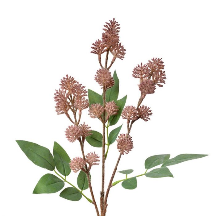 Branchage rose