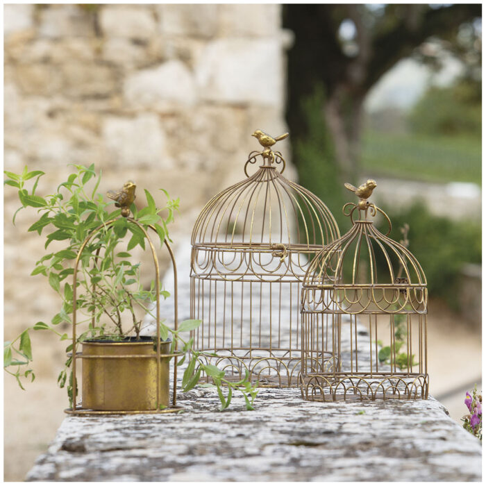 Cage à oiseaux dorée – Image 2